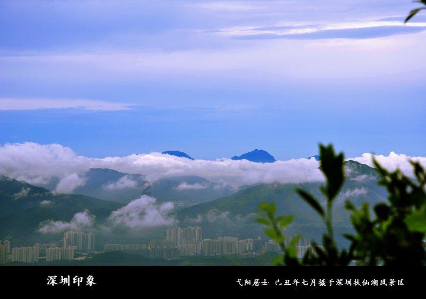 河南省洛阳正骨医院“主任、博士论坛”第300期在郑州举办