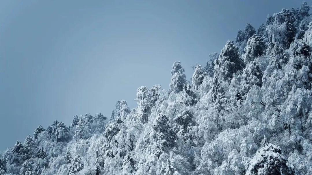 胃病“三分治七分养”，如何养好胃？