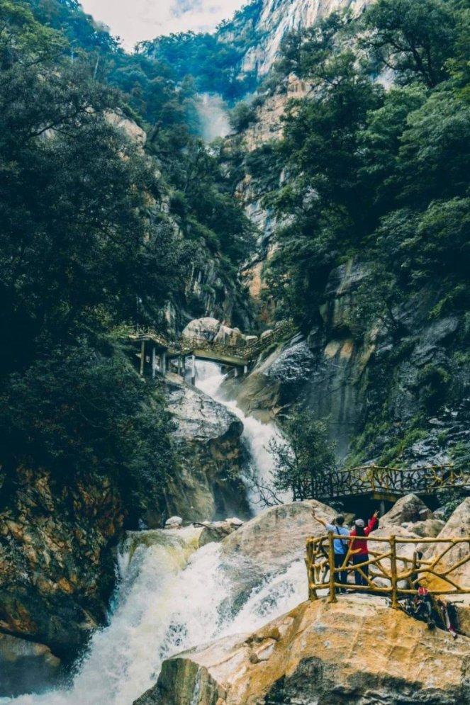 转基因黄豆和非转基因黄豆有什么区别，营养呢